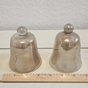 Glass Bell Jar Cloche